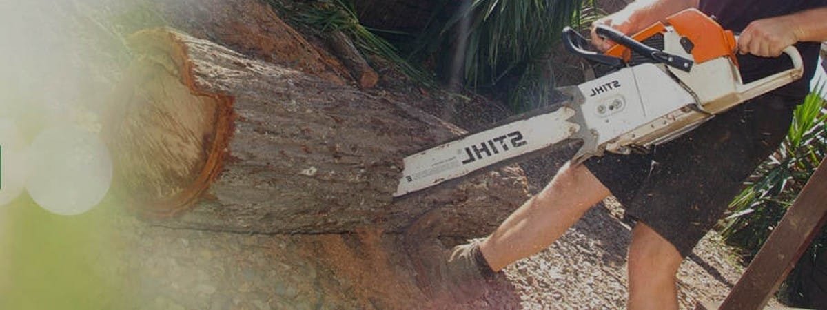 About Us - Sunshine Coast Tree Lopping Caloundra